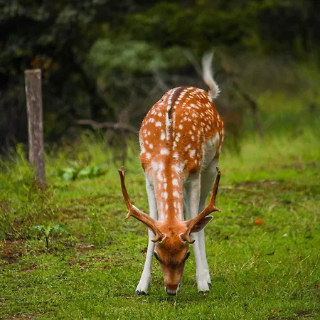 Hotell La Rosa Amsterdam 4*
