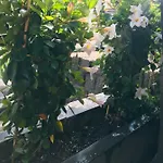 La Rosa Amsterdam 4* Zandvoort