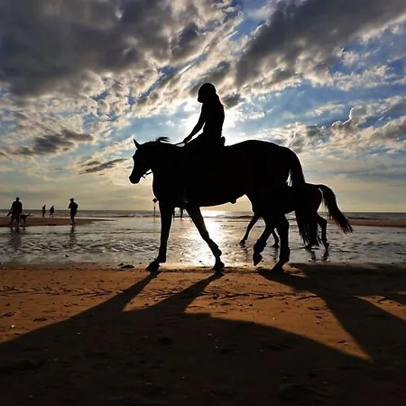 Hotel La Rosa Amsterdam 4*