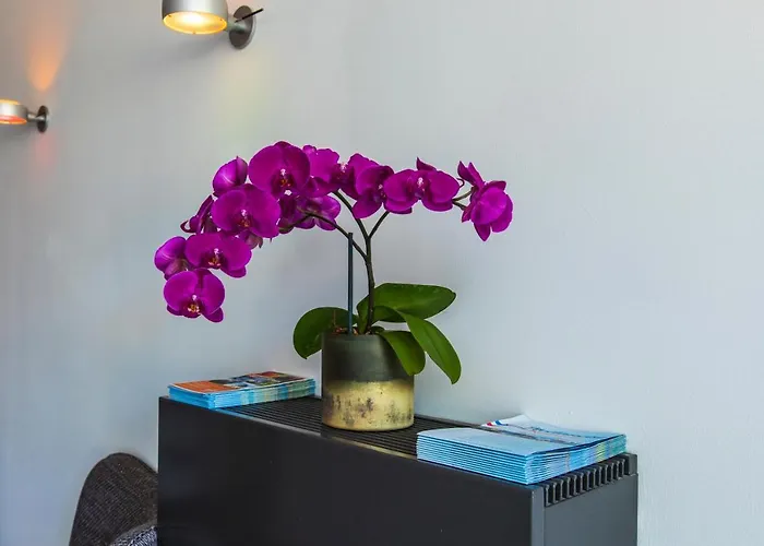 La Rosa Amsterdam 4* Зандфорт