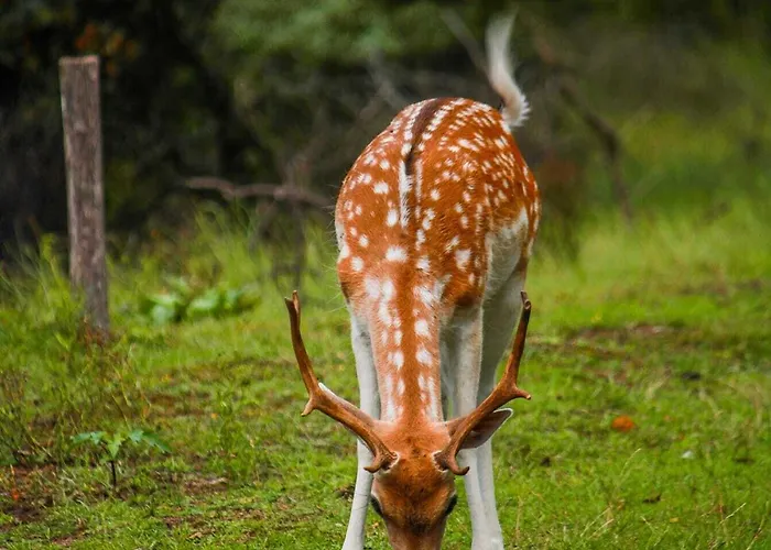 Отель La Rosa Amsterdam 4*