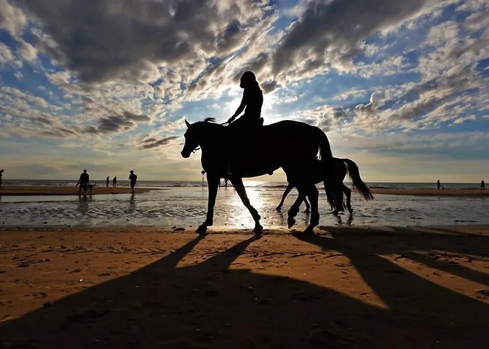 Отель La Rosa Amsterdam 4*