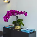 La Rosa Amsterdam 4* Zandvoort